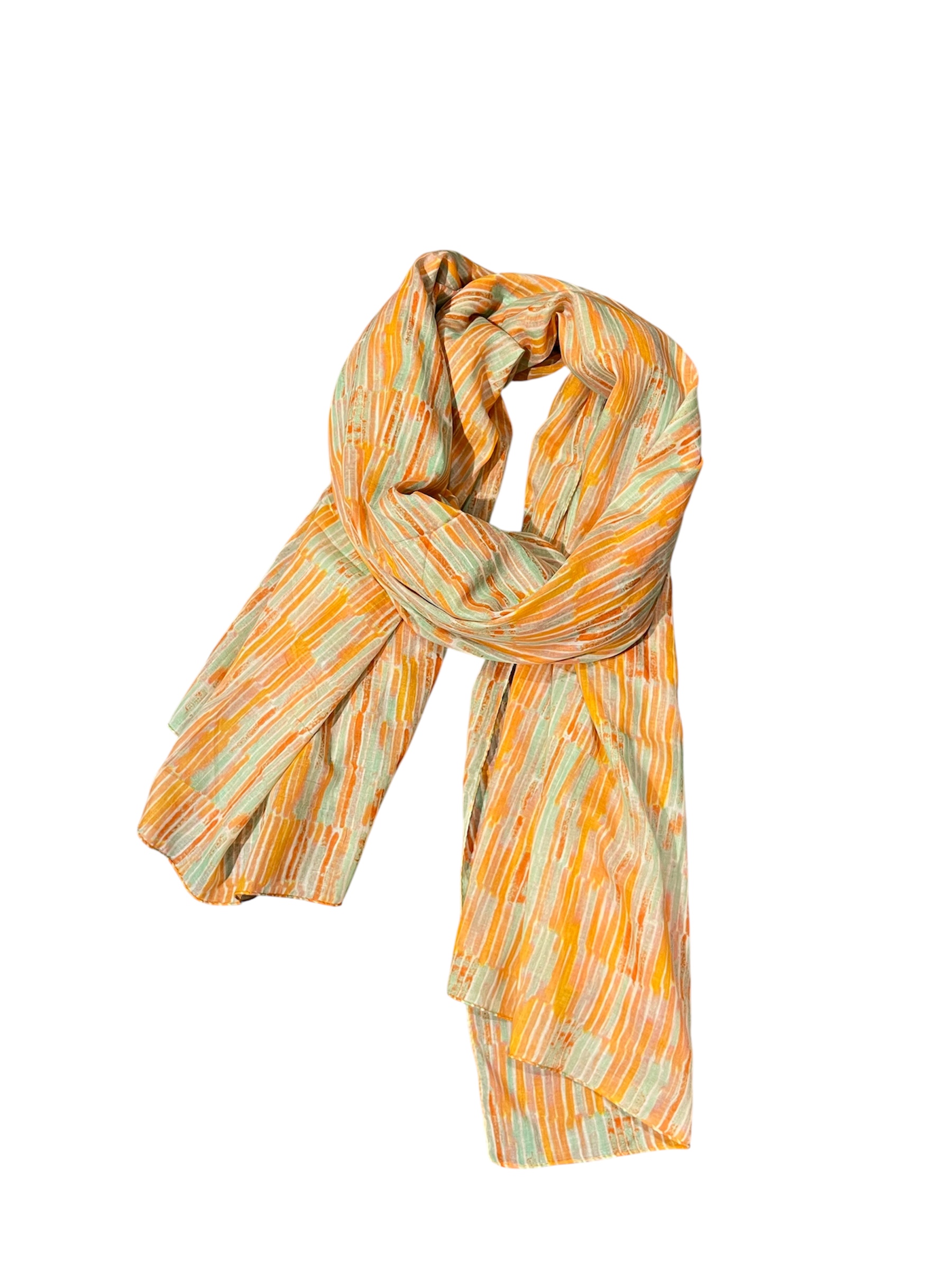 Photoroom_20260224_163337